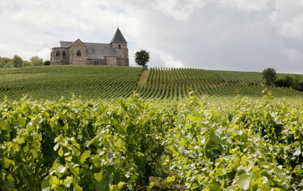 Foire Aux Vins traz lançamentos e rótulos consagrados da Chez France