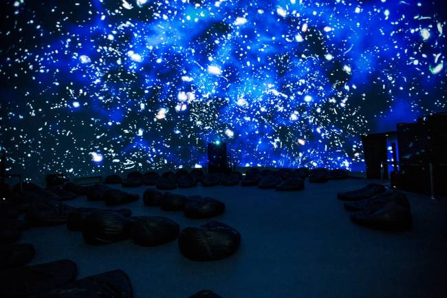 visualfarm-gymnasium