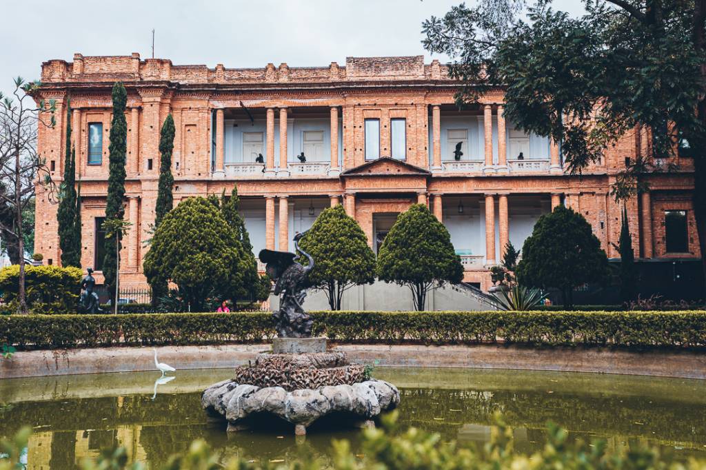 Parque mais antigo de São Paulo, Jardim da Luz completa 200 anos em 2025
