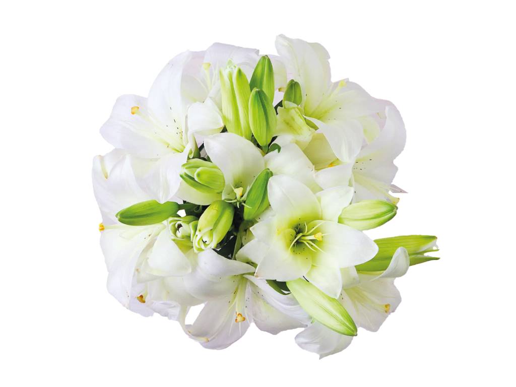 vanessa-da-mata-estilo