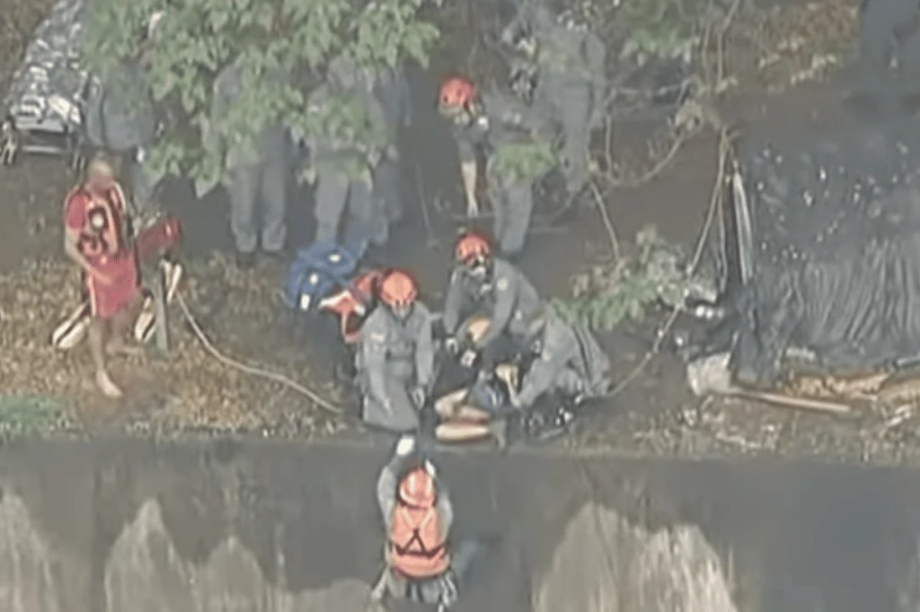 Mulher cai em rio no centro de São Paulo e é arrastada pela correnteza