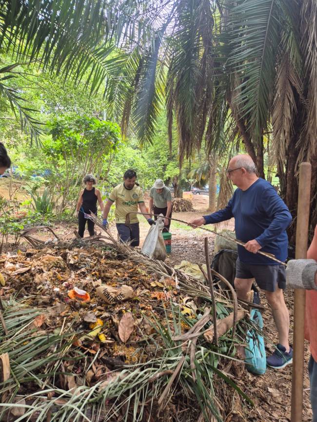 compostagem-pinheiros