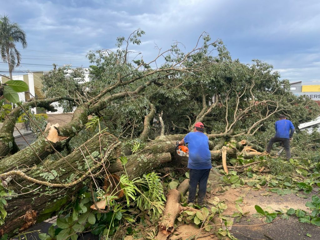 Cinco cidades do interior de SP sofrem com estragos causados pelas chuvas