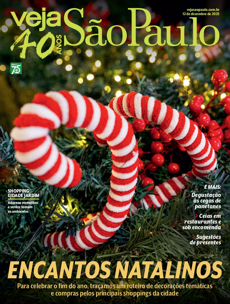  Natal 2025: um roteiro de compras e decorações em shoppings de SP