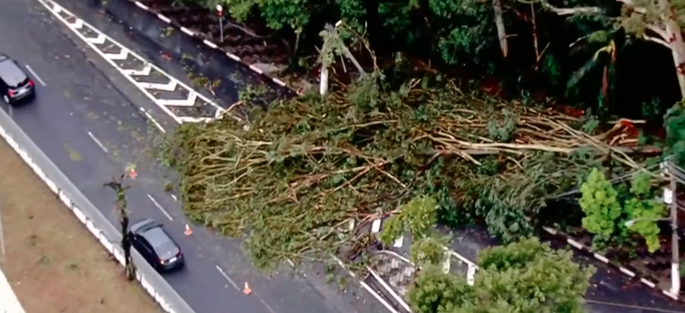 Ciclone em SP: vendaval deixa mais de 1,5 milhão sem luz e cancela voos