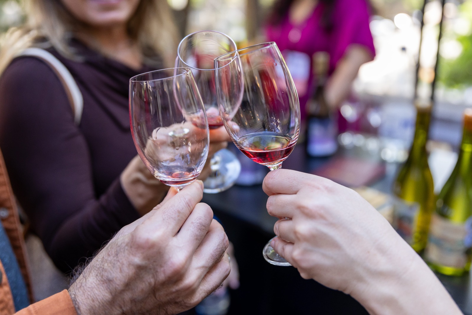 WhatsApp Image 2026-01-28 at 20.54.06