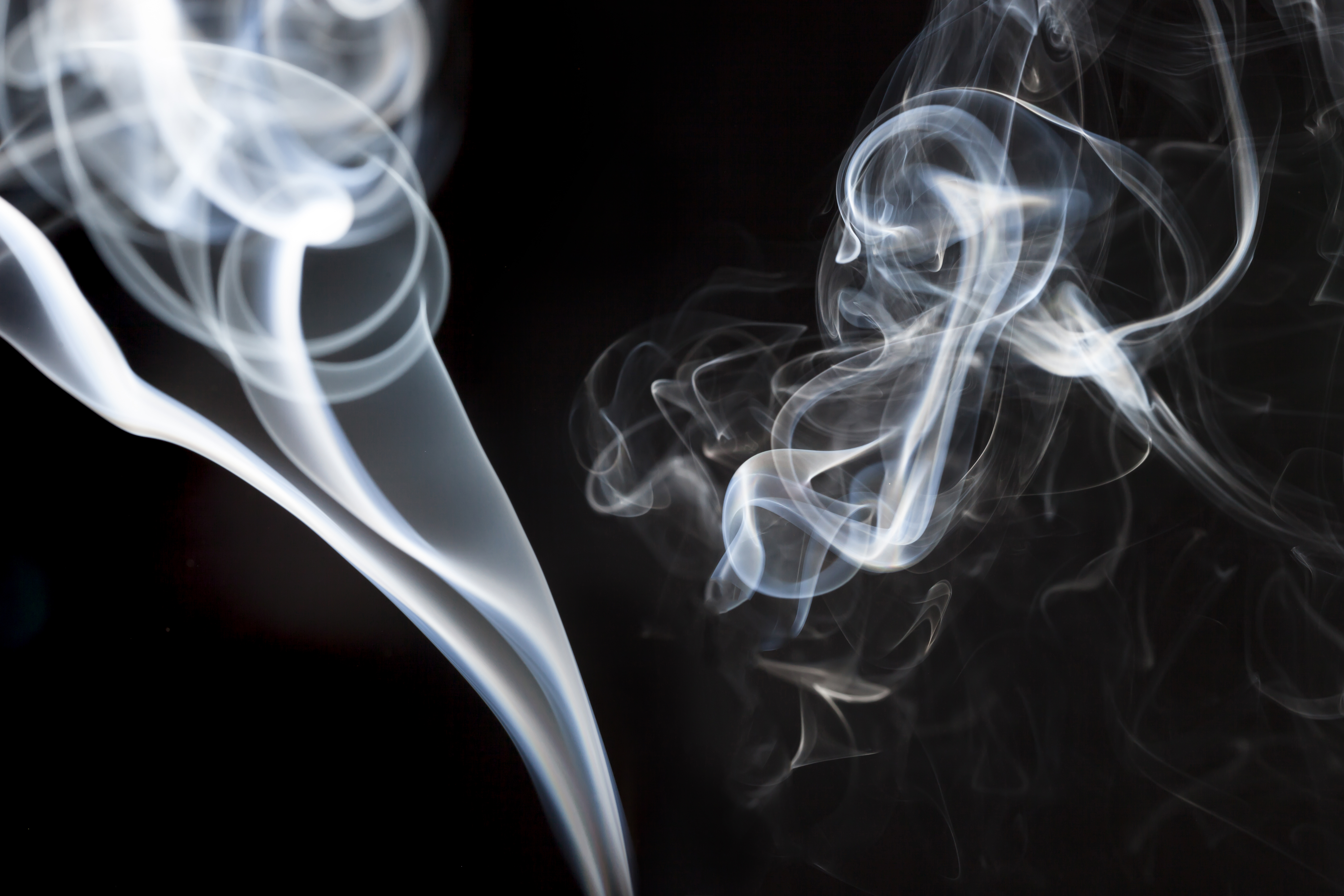 two-dynamic-silhouettes-with-great-shapes