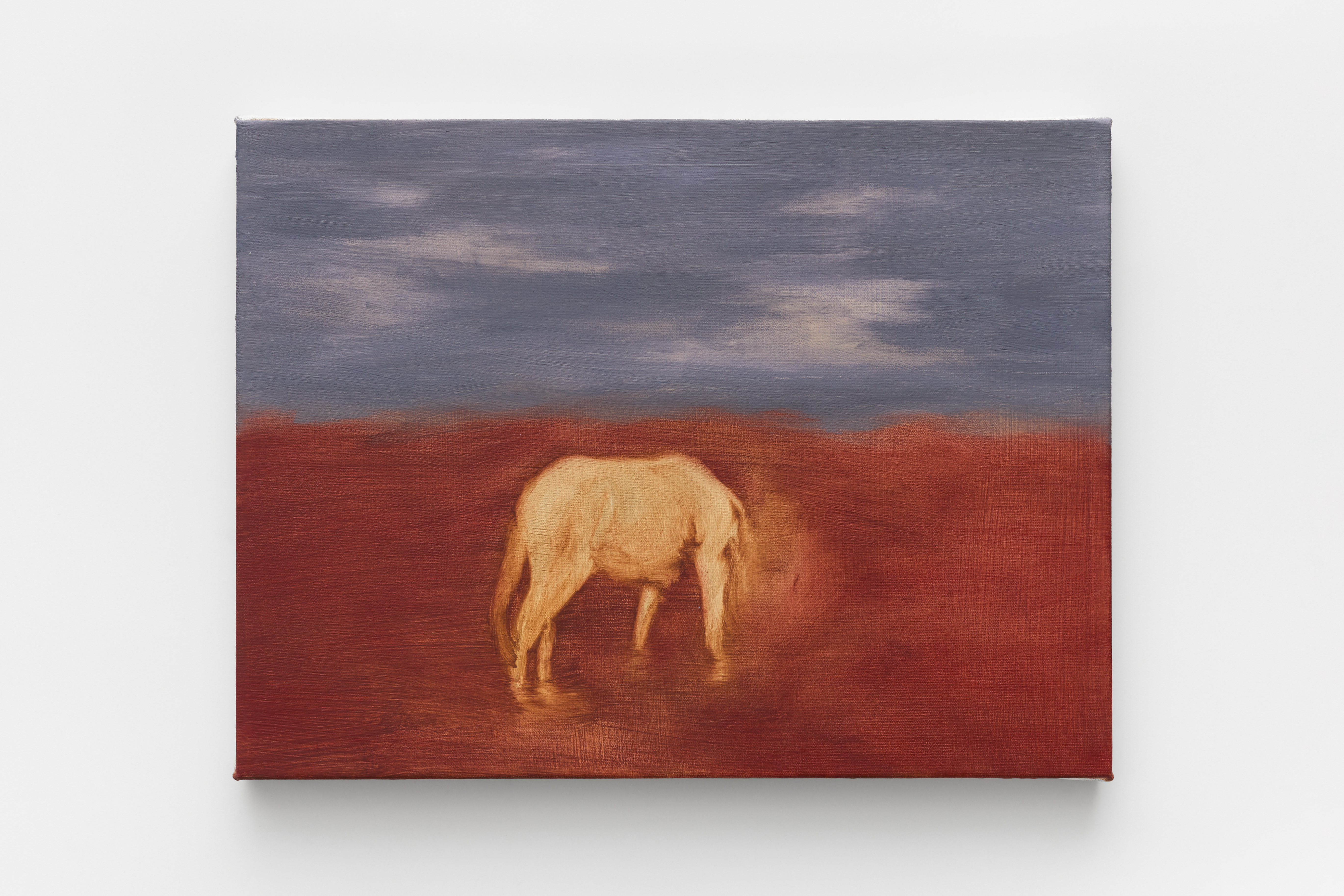 2025 – Rio abaixo Paulo Agi