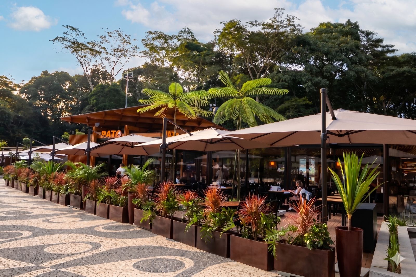 Pago com laranja