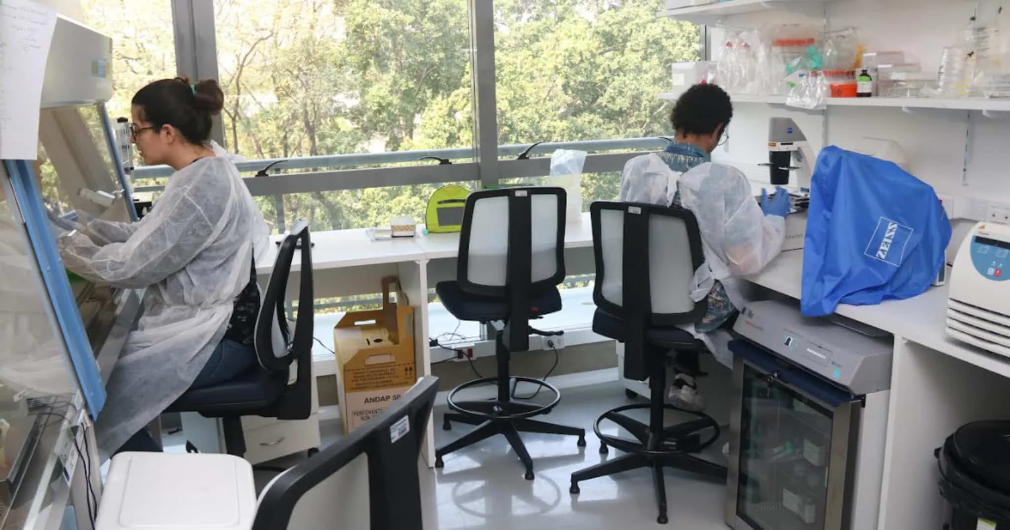 Duas pesquisadoras em um laboratório, usando jalecos brancos e luvas, trabalham em bancadas com equipamentos científicos e vidrarias. Uma manipula amostras em uma capela de fluxo laminar, enquanto a outra opera um microscópio. O ambiente é iluminado por janelas grandes com vista para árvores